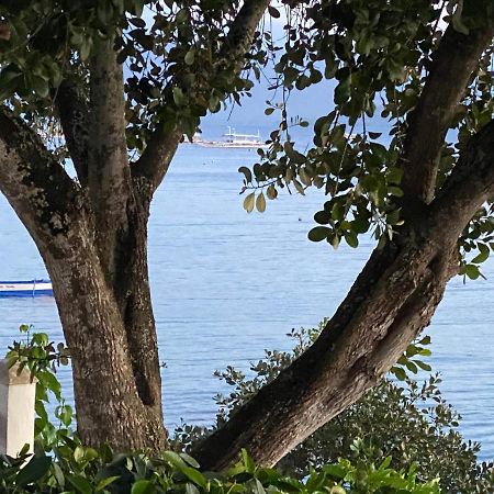 Pescador View - Beachfront & Nearby The Ocean Hostels & Restaurant Моалбоал Екстер'єр фото